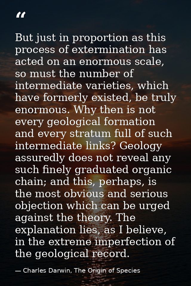 But just in proportion as this process of extermination has acted on an enormous scale, so must the number of intermedia — Charles Darwin, The Origin of Species