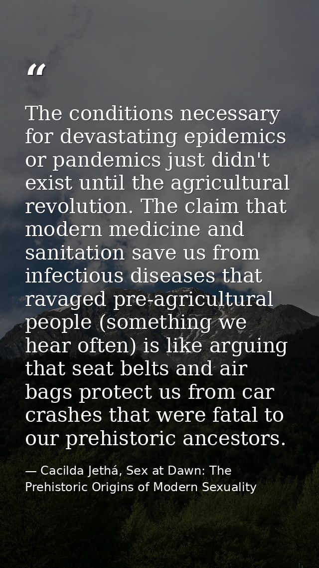 The conditions necessary for devastating epidemics or pandemics just didn't exist until the agricultural revolution. The — Cacilda Jethá, Sex at Dawn: The Prehistoric Origins of Modern Sexuality