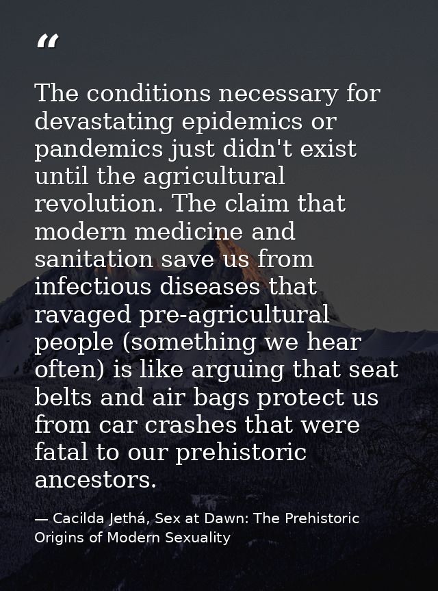 The conditions necessary for devastating epidemics or pandemics just didn't exist until the agricultural revolution. The — Cacilda Jethá, Sex at Dawn: The Prehistoric Origins of Modern Sexuality