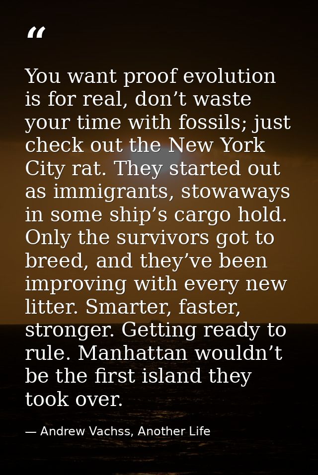 You want proof evolution is for real, don’t waste your time with fossils; just check out the New York City rat. They sta — Andrew Vachss, Another Life