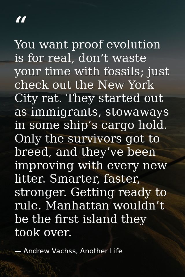 You want proof evolution is for real, don’t waste your time with fossils; just check out the New York City rat. They sta — Andrew Vachss, Another Life