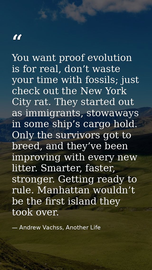 You want proof evolution is for real, don’t waste your time with fossils; just check out the New York City rat. They sta — Andrew Vachss, Another Life