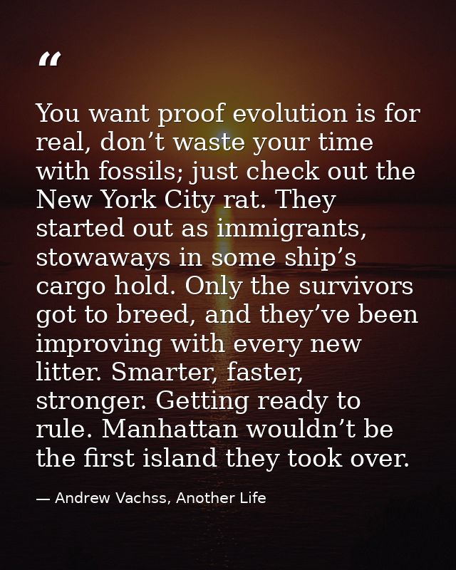 You want proof evolution is for real, don’t waste your time with fossils; just check out the New York City rat. They sta — Andrew Vachss, Another Life