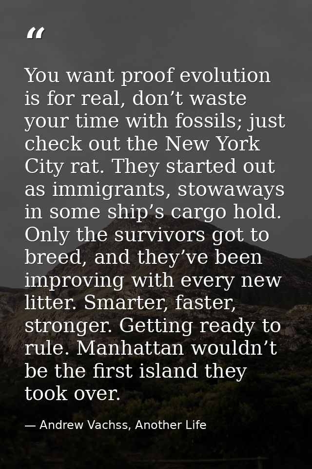 You want proof evolution is for real, don’t waste your time with fossils; just check out the New York City rat. They sta — Andrew Vachss, Another Life