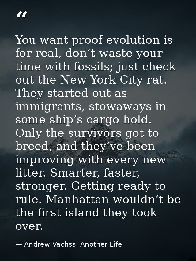You want proof evolution is for real, don’t waste your time with fossils; just check out the New York City rat. They sta — Andrew Vachss, Another Life