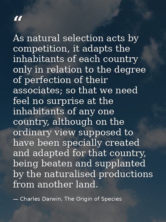 As natural selection acts by competition, it adapts the inhabitants of each country only in relation to the degree of pe — Charles Darwin, The Origin of Species