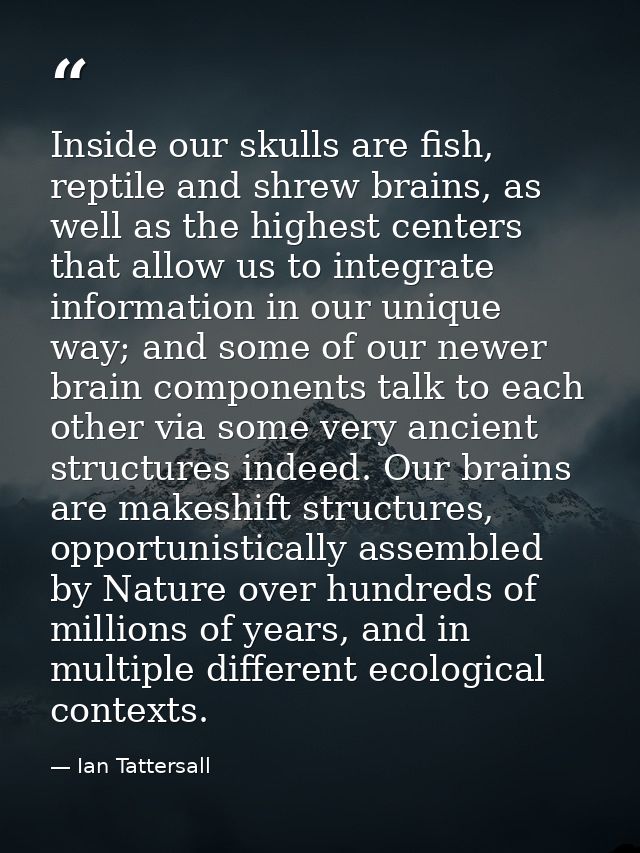 Inside our skulls are fish, reptile and shrew brains, as well as the highest centers that allow us to integrate informat — Ian Tattersall