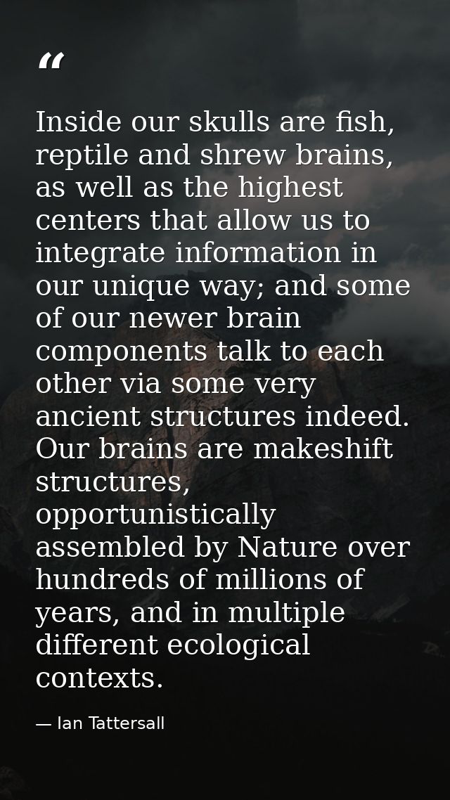Inside our skulls are fish, reptile and shrew brains, as well as the highest centers that allow us to integrate informat — Ian Tattersall