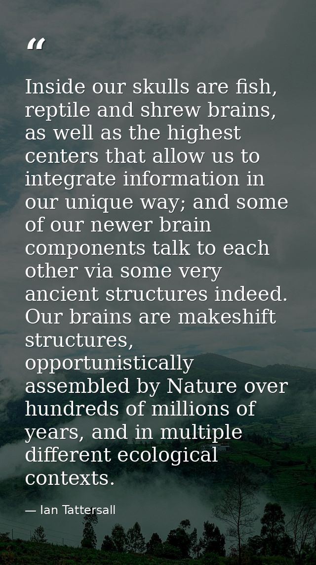 Inside our skulls are fish, reptile and shrew brains, as well as the highest centers that allow us to integrate informat — Ian Tattersall