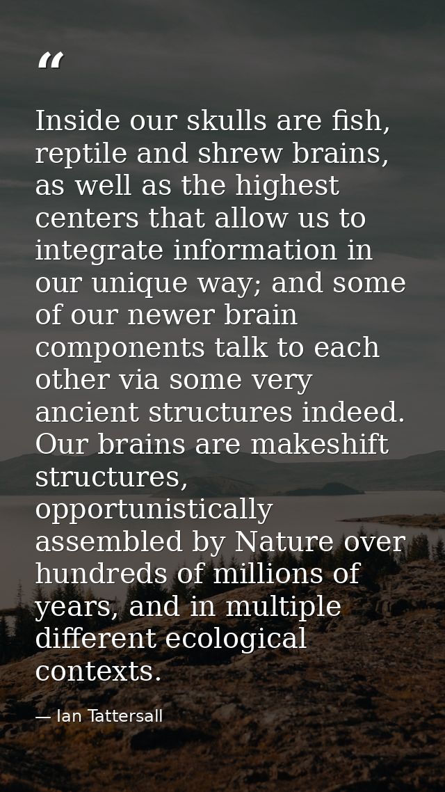 Inside our skulls are fish, reptile and shrew brains, as well as the highest centers that allow us to integrate informat — Ian Tattersall