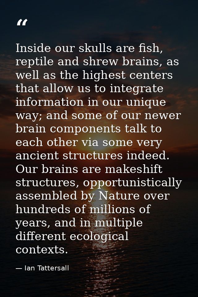 Inside our skulls are fish, reptile and shrew brains, as well as the highest centers that allow us to integrate informat — Ian Tattersall