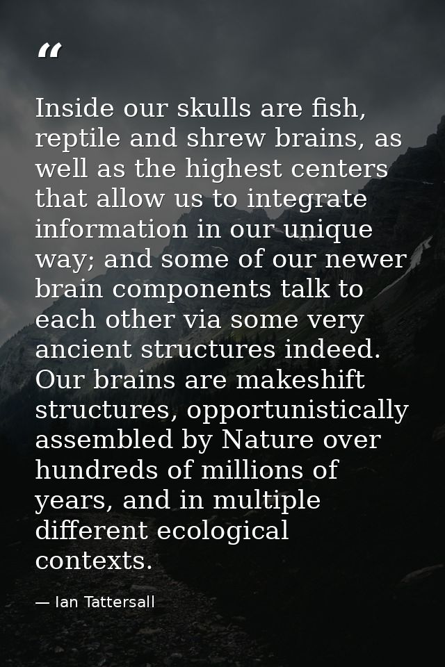 Inside our skulls are fish, reptile and shrew brains, as well as the highest centers that allow us to integrate informat — Ian Tattersall