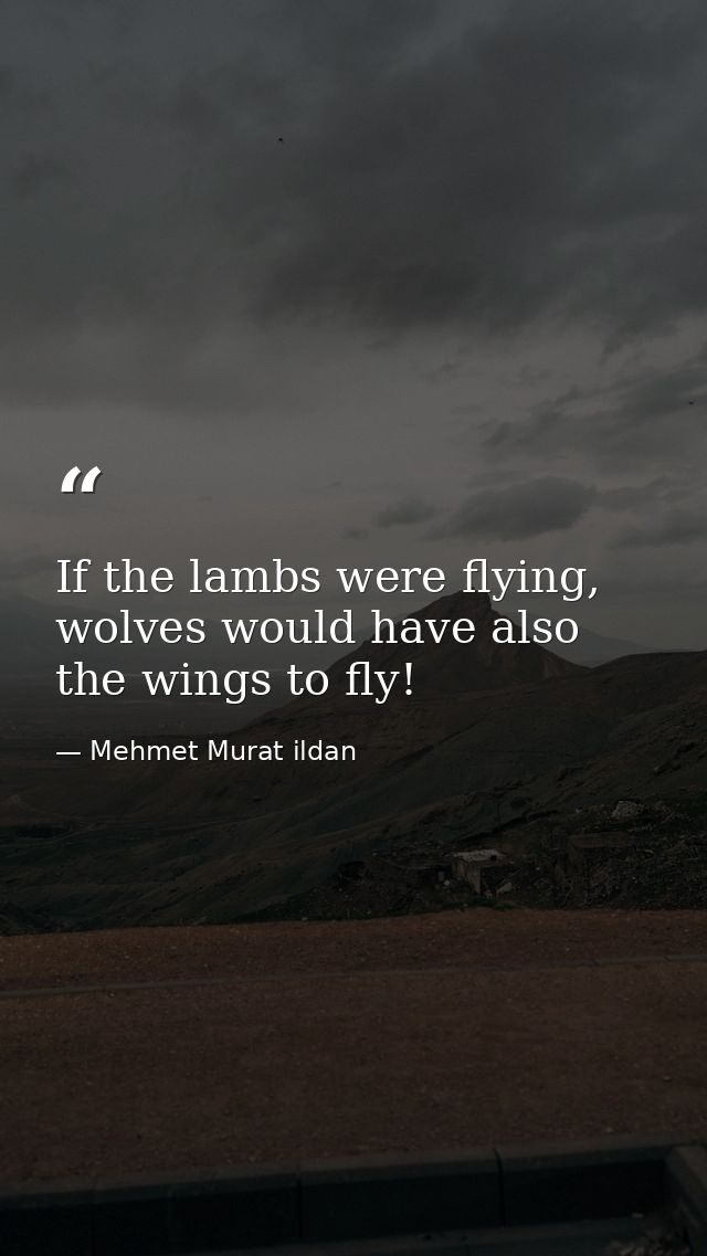 If the lambs were flying, wolves would have also the wings to fly! — Mehmet Murat ildan