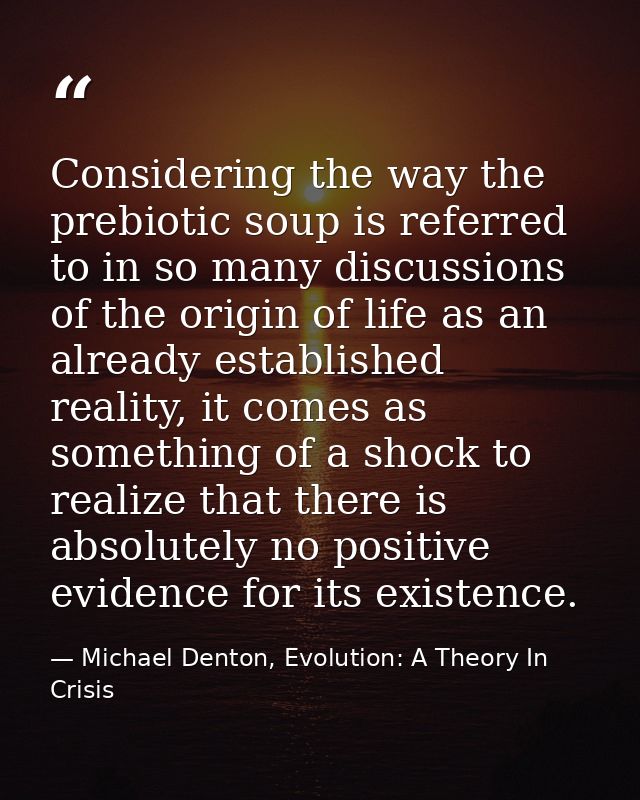 Considering the way the prebiotic soup is referred to in so many discussions of the origin of life as an already establi — Michael Denton, Evolution: A Theory In Crisis