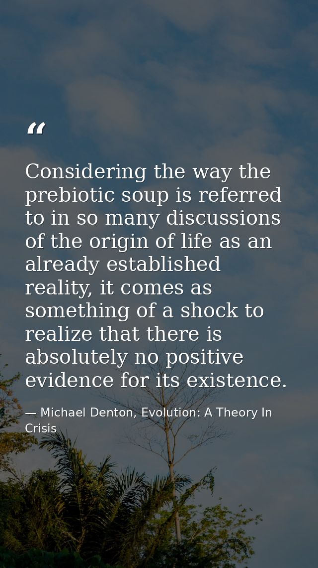 Considering the way the prebiotic soup is referred to in so many discussions of the origin of life as an already establi — Michael Denton, Evolution: A Theory In Crisis