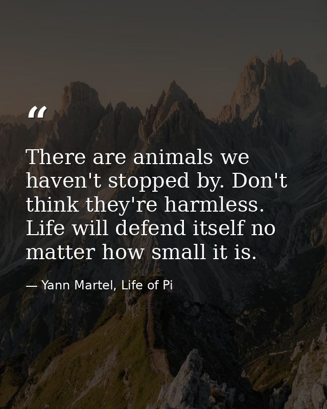 There are animals we haven't stopped by. Don't think they're harmless. Life will defend itself no matter how small it is — Yann Martel, Life of Pi