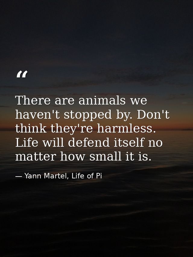 There are animals we haven't stopped by. Don't think they're harmless. Life will defend itself no matter how small it is — Yann Martel, Life of Pi