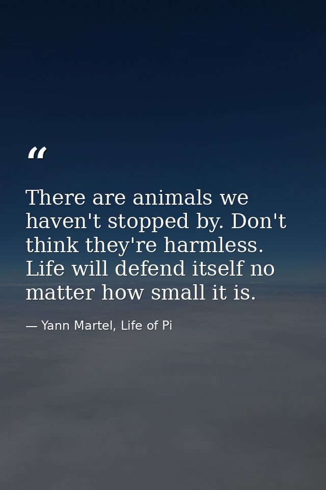 There are animals we haven't stopped by. Don't think they're harmless. Life will defend itself no matter how small it is — Yann Martel, Life of Pi
