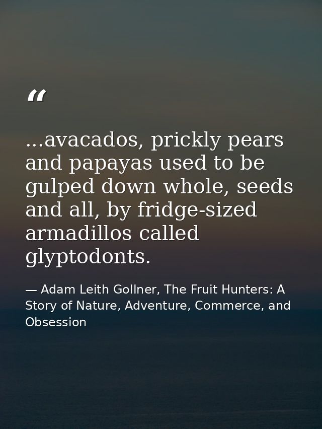 ...avacados, prickly pears and papayas used to be gulped down whole, seeds and all, by fridge-sized armadillos called gl — Adam Leith Gollner, The Fruit Hunters: A Story of Nature, Adventure, Commerce, and Obsession