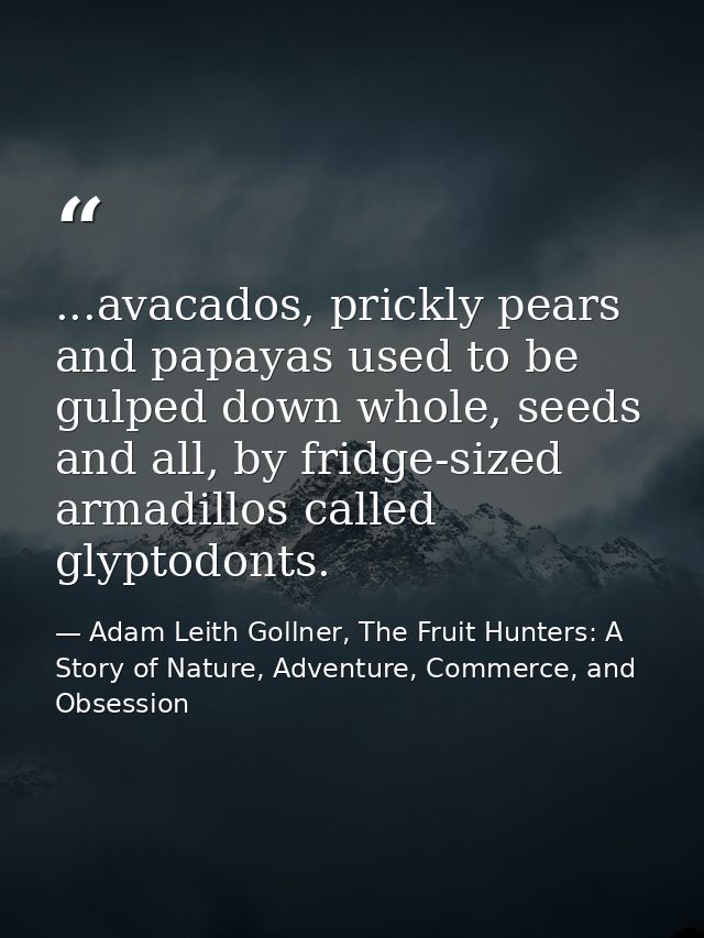 ...avacados, prickly pears and papayas used to be gulped down whole, seeds and all, by fridge-sized armadillos called gl — Adam Leith Gollner, The Fruit Hunters: A Story of Nature, Adventure, Commerce, and Obsession