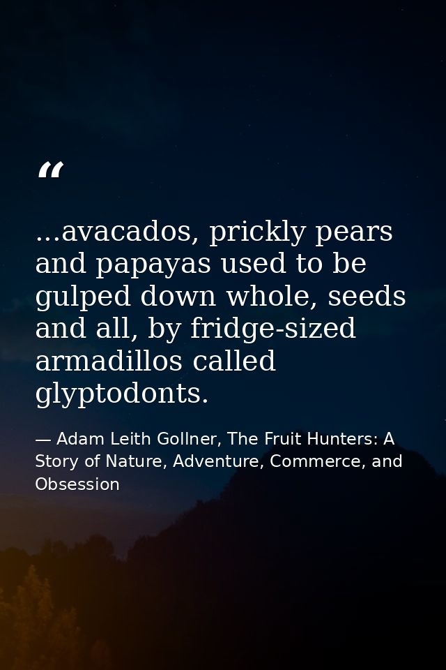 ...avacados, prickly pears and papayas used to be gulped down whole, seeds and all, by fridge-sized armadillos called gl — Adam Leith Gollner, The Fruit Hunters: A Story of Nature, Adventure, Commerce, and Obsession