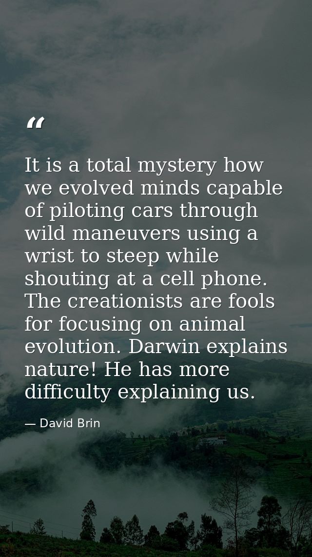 It is a total mystery how we evolved minds capable of piloting cars through wild maneuvers using a wrist to steep while  — David Brin