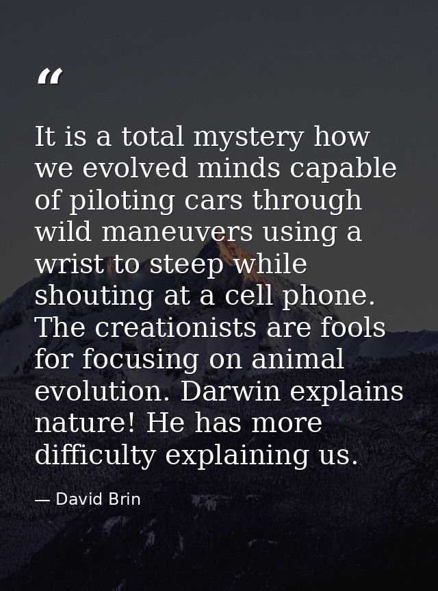 It is a total mystery how we evolved minds capable of piloting cars through wild maneuvers using a wrist to steep while  — David Brin
