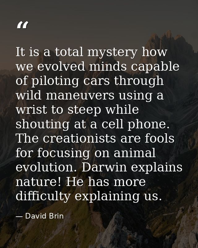 It is a total mystery how we evolved minds capable of piloting cars through wild maneuvers using a wrist to steep while  — David Brin