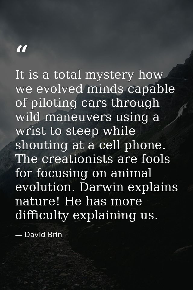 It is a total mystery how we evolved minds capable of piloting cars through wild maneuvers using a wrist to steep while  — David Brin