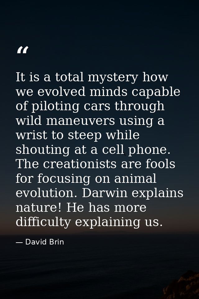It is a total mystery how we evolved minds capable of piloting cars through wild maneuvers using a wrist to steep while  — David Brin