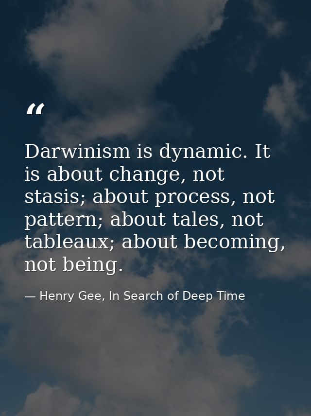 Darwinism is dynamic. It is about change, not stasis; about process, not pattern; about tales, not tableaux; about becom — Henry Gee, In Search of Deep Time