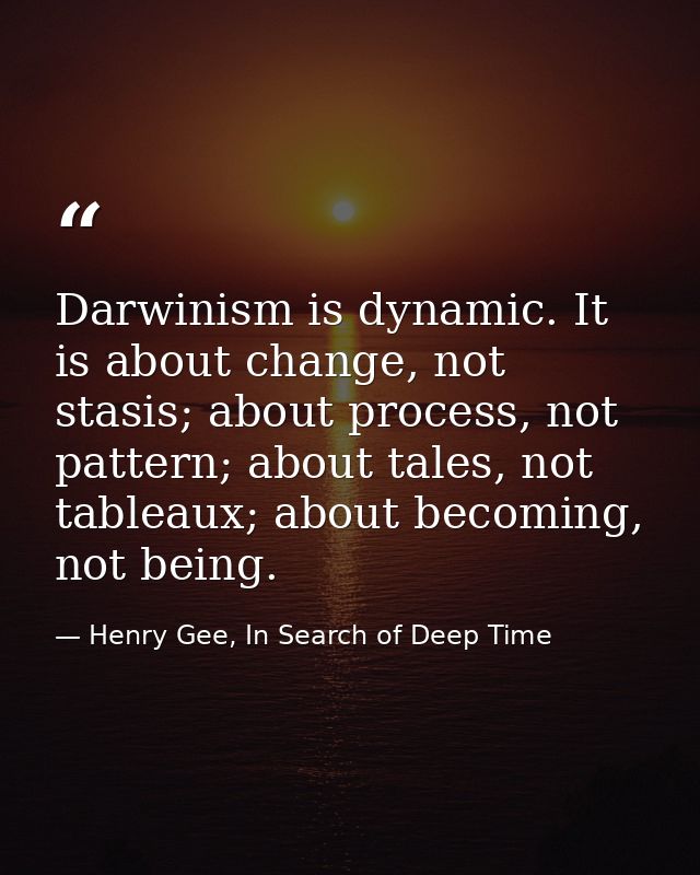 Darwinism is dynamic. It is about change, not stasis; about process, not pattern; about tales, not tableaux; about becom — Henry Gee, In Search of Deep Time