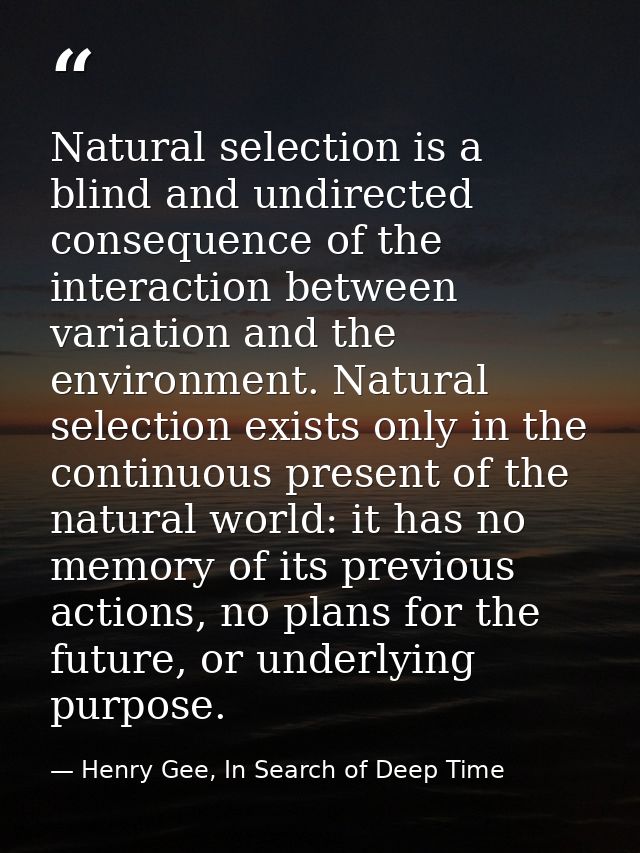 Natural selection is a blind and undirected consequence of the interaction between variation and the environment. Natura — Henry Gee, In Search of Deep Time