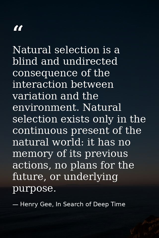 Natural selection is a blind and undirected consequence of the interaction between variation and the environment. Natura — Henry Gee, In Search of Deep Time
