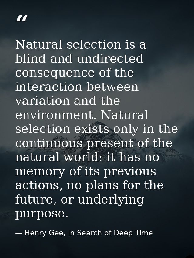 Natural selection is a blind and undirected consequence of the interaction between variation and the environment. Natura — Henry Gee, In Search of Deep Time