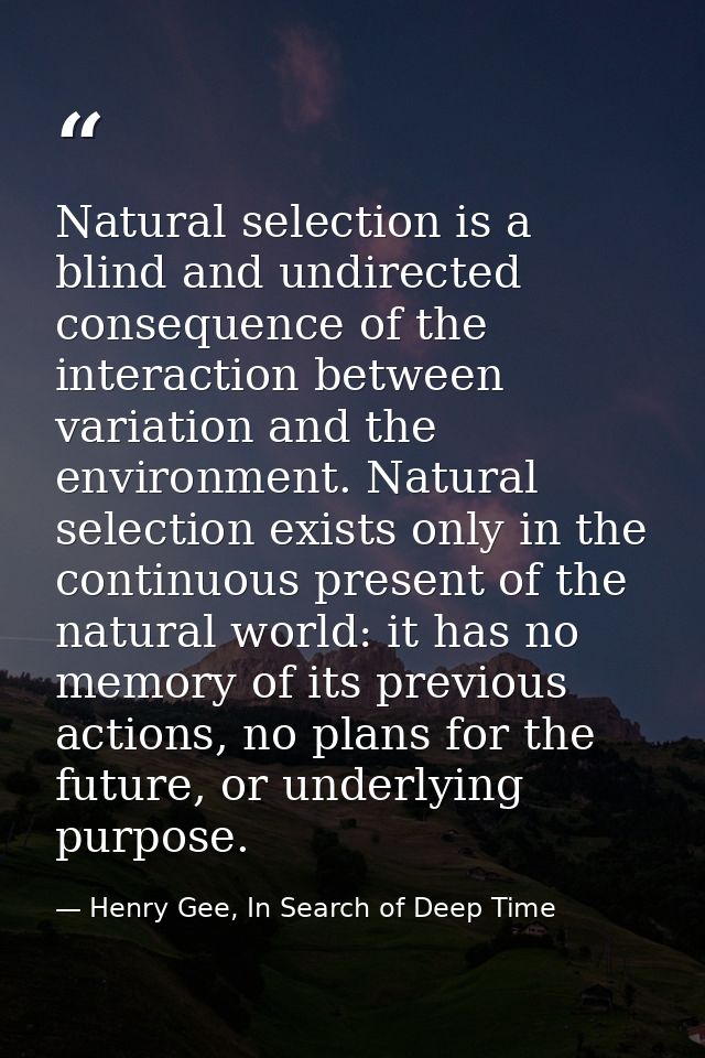 Natural selection is a blind and undirected consequence of the interaction between variation and the environment. Natura — Henry Gee, In Search of Deep Time