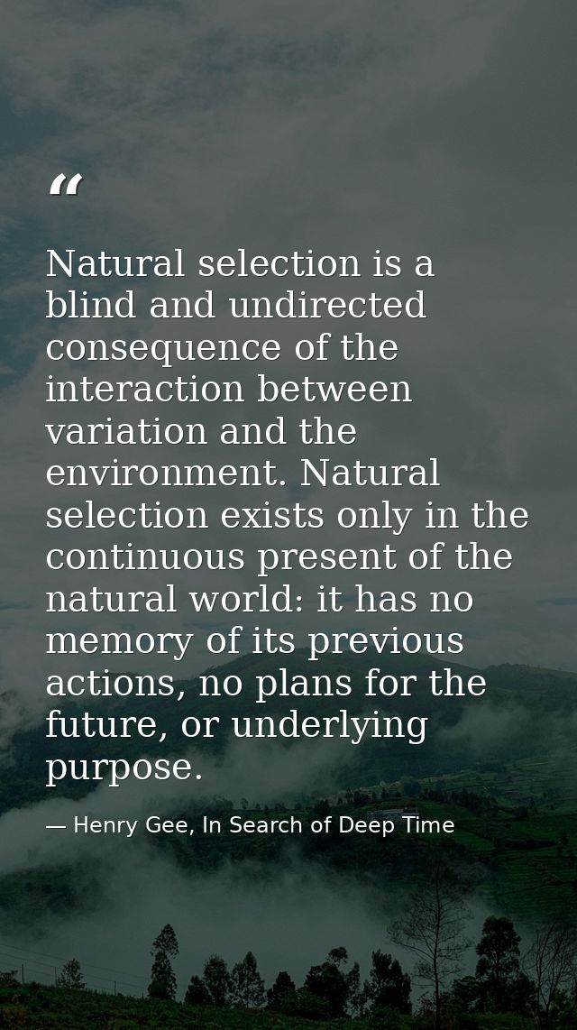 Natural selection is a blind and undirected consequence of the interaction between variation and the environment. Natura — Henry Gee, In Search of Deep Time