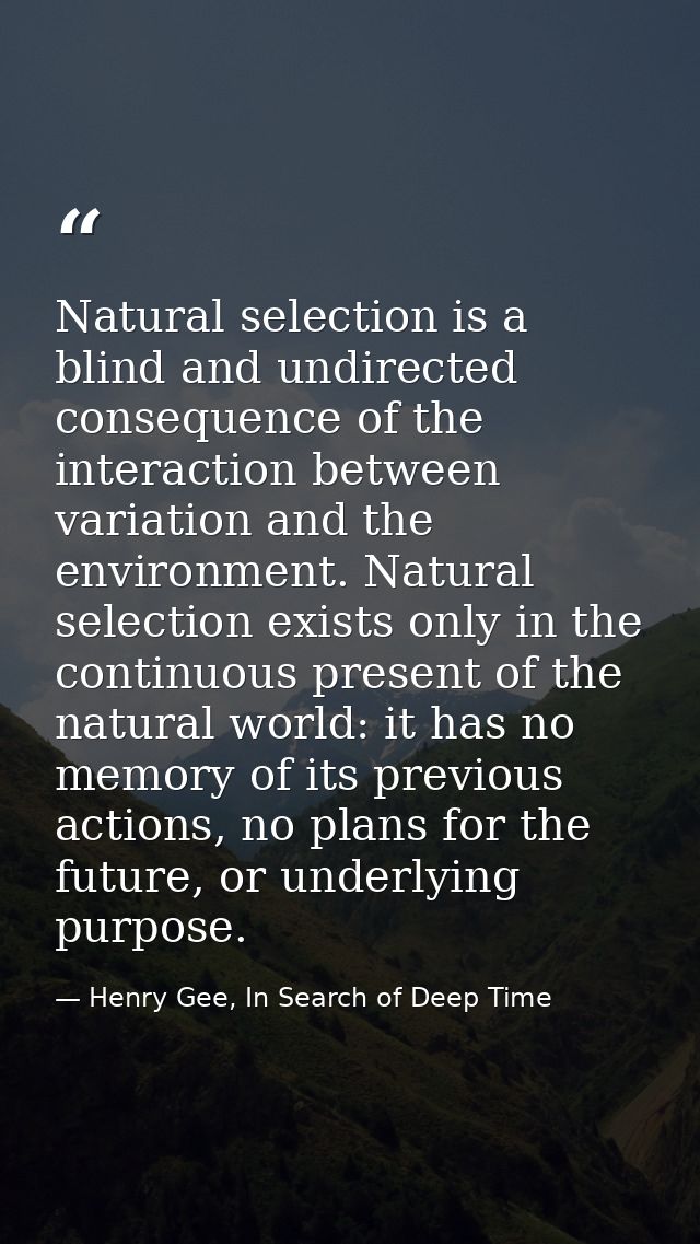 Natural selection is a blind and undirected consequence of the interaction between variation and the environment. Natura — Henry Gee, In Search of Deep Time
