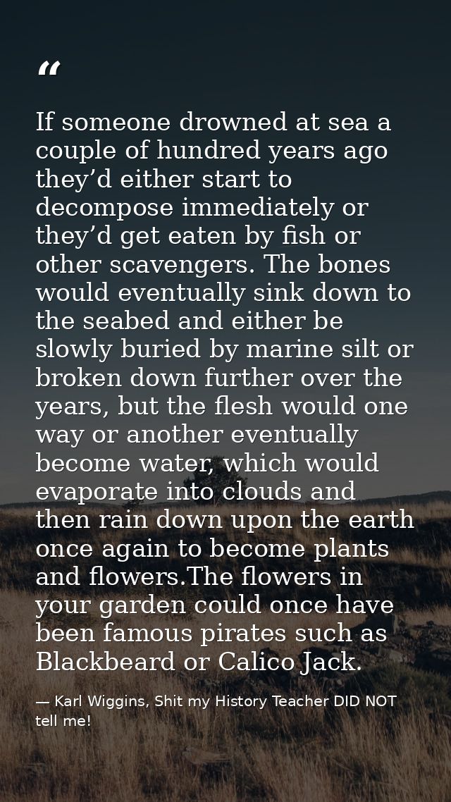 If someone drowned at sea a couple of hundred years ago they’d either start to decompose immediately or they’d get eaten — Karl Wiggins, Shit my History Teacher DID NOT tell me!