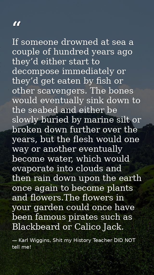 If someone drowned at sea a couple of hundred years ago they’d either start to decompose immediately or they’d get eaten — Karl Wiggins, Shit my History Teacher DID NOT tell me!