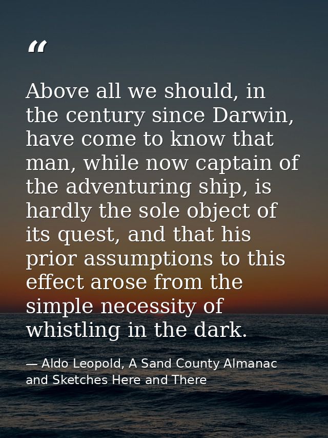 Above all we should, in the century since Darwin, have come to know that man, while now captain of the adventuring ship, — Aldo Leopold, A Sand County Almanac and Sketches Here and There