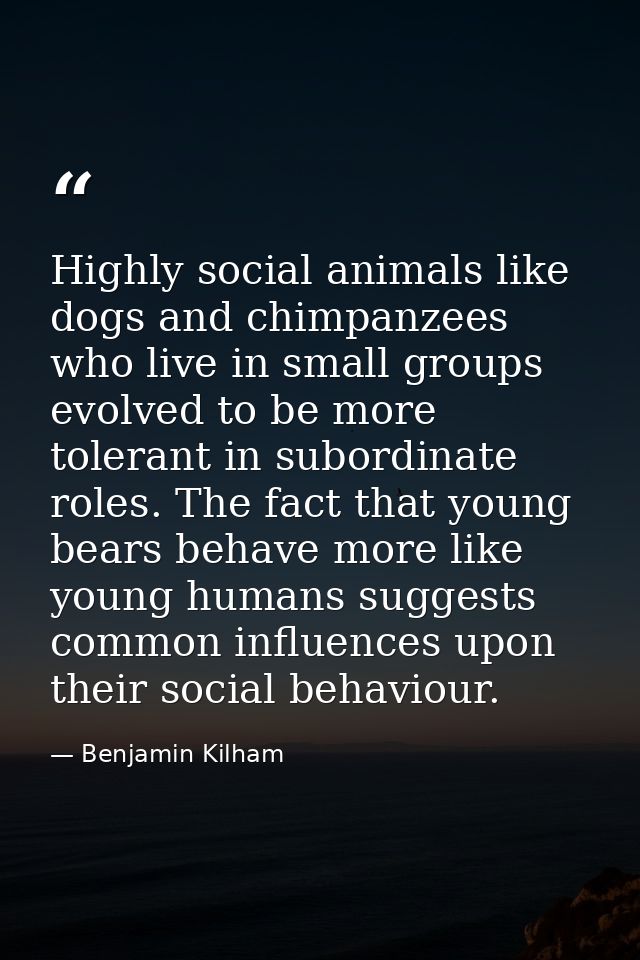 Highly social animals like dogs and chimpanzees who live in small groups evolved to be more tolerant in subordinate role — Benjamin Kilham