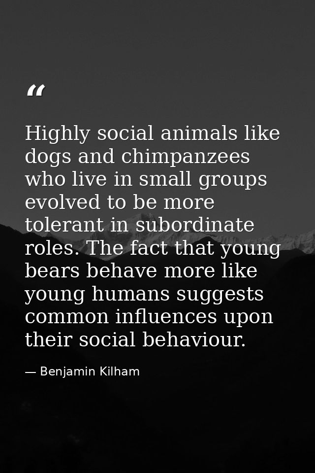 Highly social animals like dogs and chimpanzees who live in small groups evolved to be more tolerant in subordinate role — Benjamin Kilham