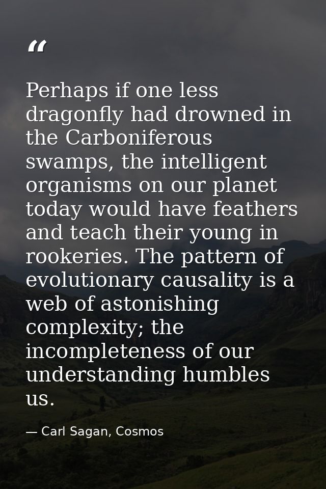 Perhaps if one less dragonfly had drowned in the Carboniferous swamps, the intelligent organisms on our planet today wou — Carl Sagan, Cosmos