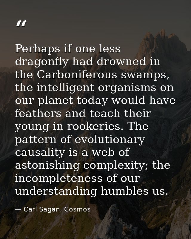 Perhaps if one less dragonfly had drowned in the Carboniferous swamps, the intelligent organisms on our planet today wou — Carl Sagan, Cosmos