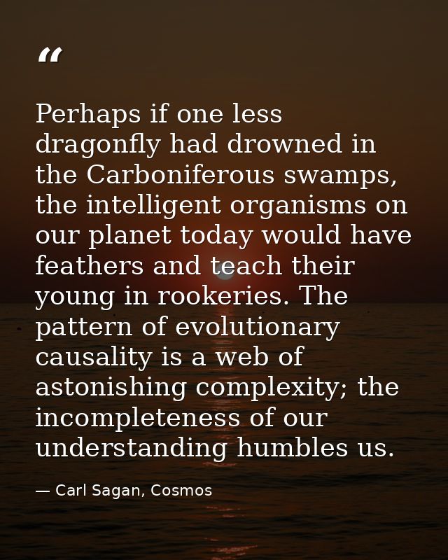 Perhaps if one less dragonfly had drowned in the Carboniferous swamps, the intelligent organisms on our planet today wou — Carl Sagan, Cosmos