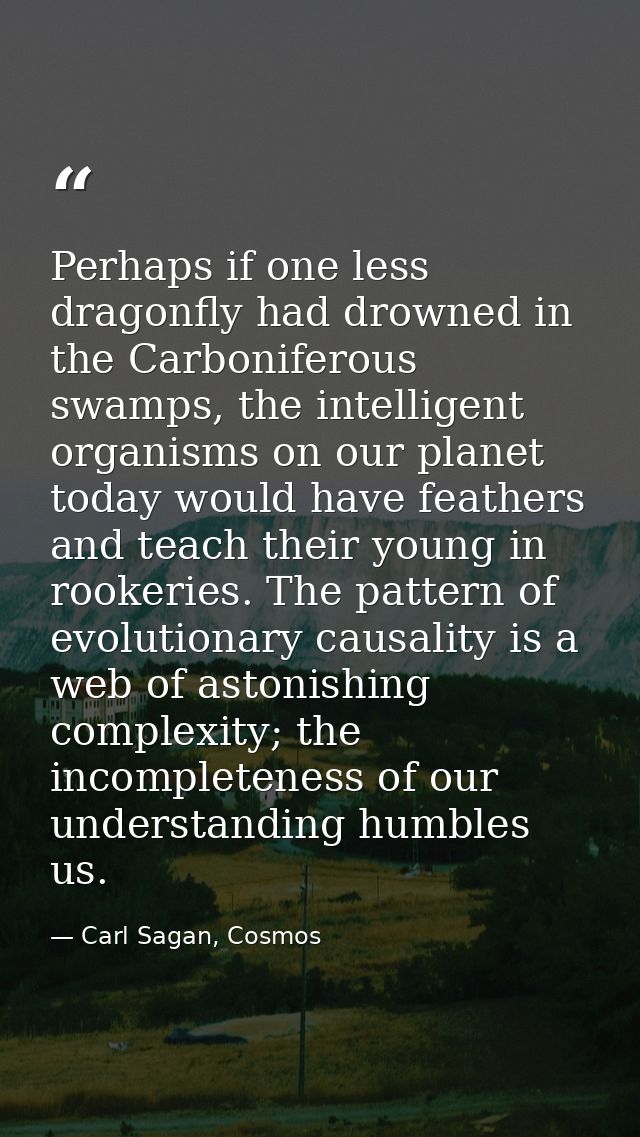 Perhaps if one less dragonfly had drowned in the Carboniferous swamps, the intelligent organisms on our planet today wou — Carl Sagan, Cosmos