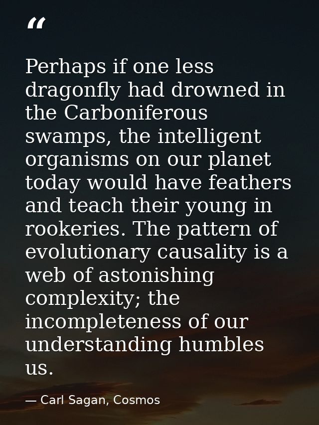 Perhaps if one less dragonfly had drowned in the Carboniferous swamps, the intelligent organisms on our planet today wou — Carl Sagan, Cosmos