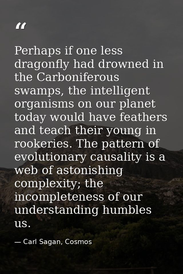 Perhaps if one less dragonfly had drowned in the Carboniferous swamps, the intelligent organisms on our planet today wou — Carl Sagan, Cosmos