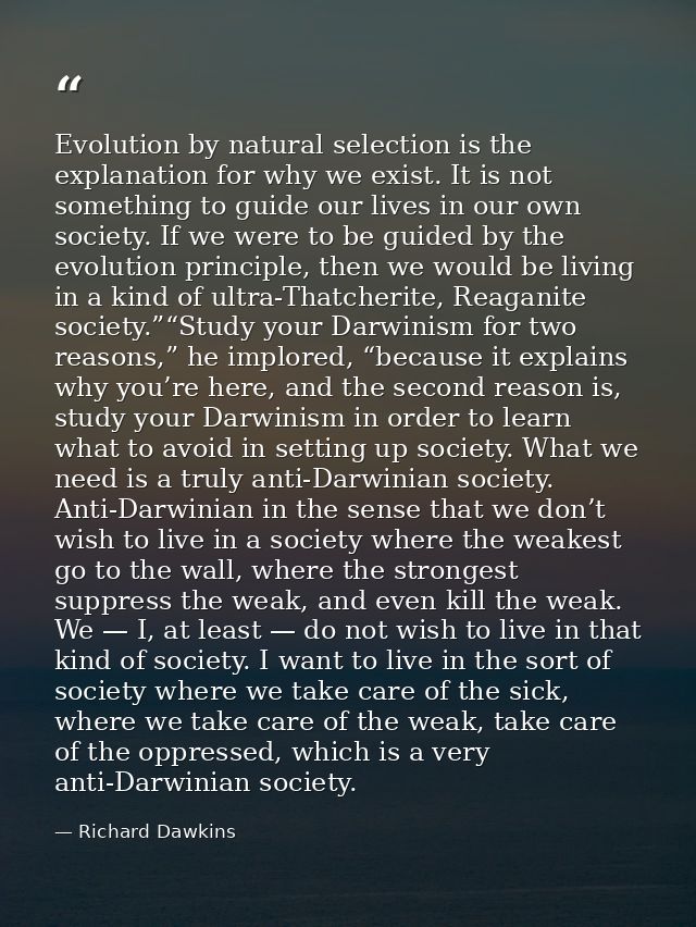 Evolution by natural selection is the explanation for why we exist. It is not something to guide our lives in our own so — Richard Dawkins